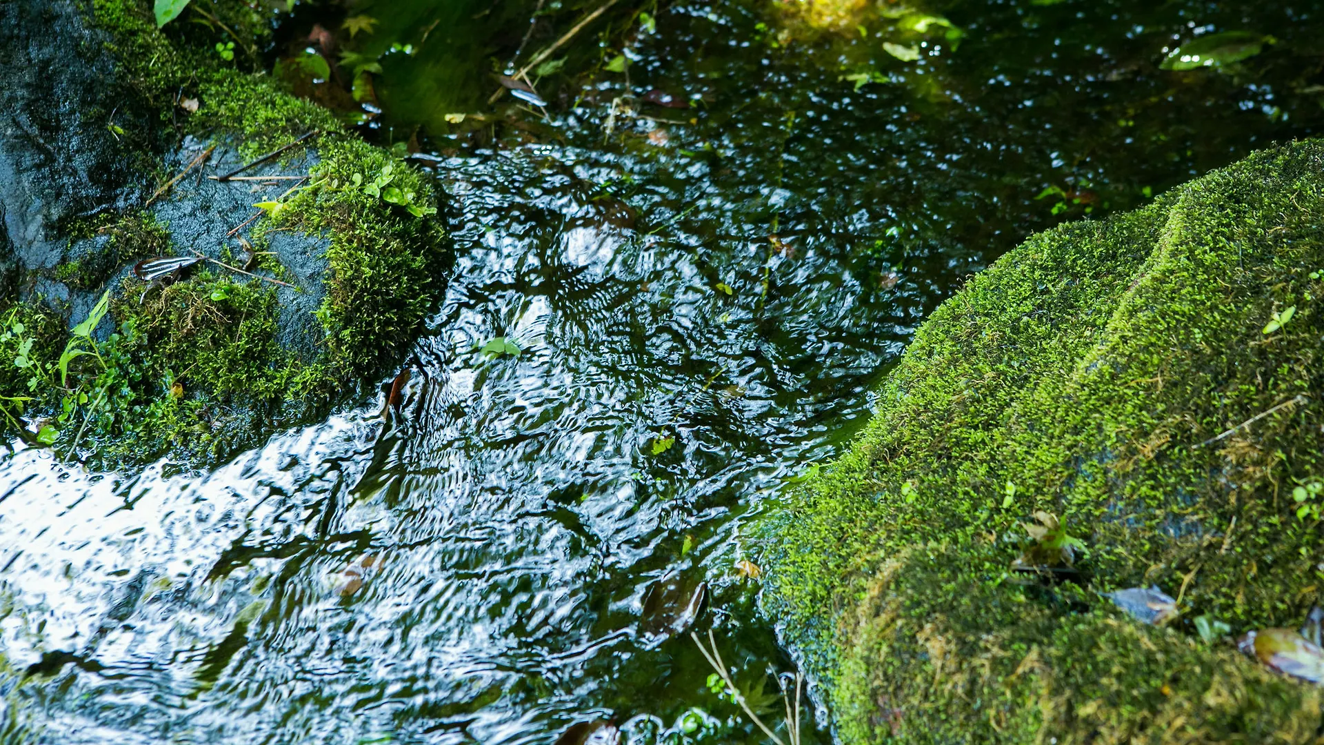 Ryokan Yugawara-Onsen Manyoso