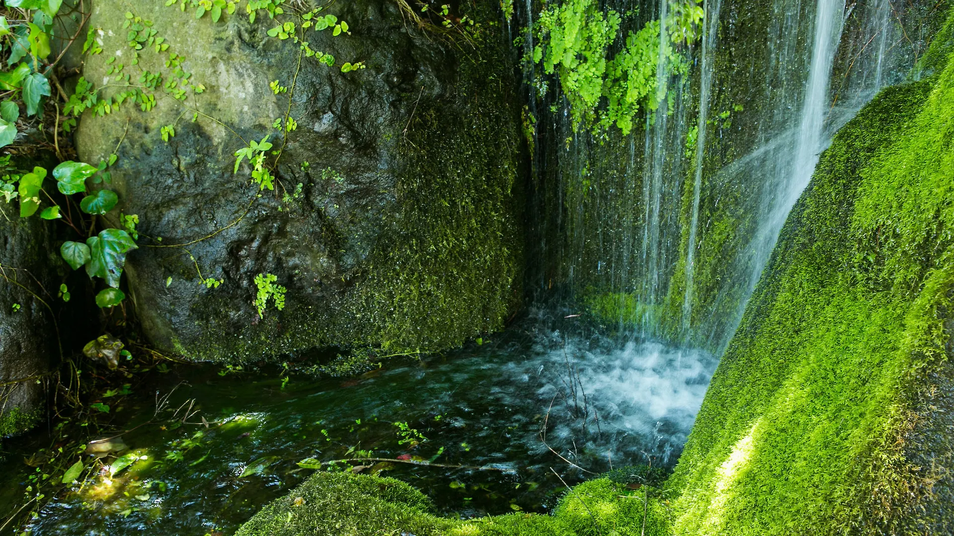 Yugawara-Onsen Manyoso Ryokan